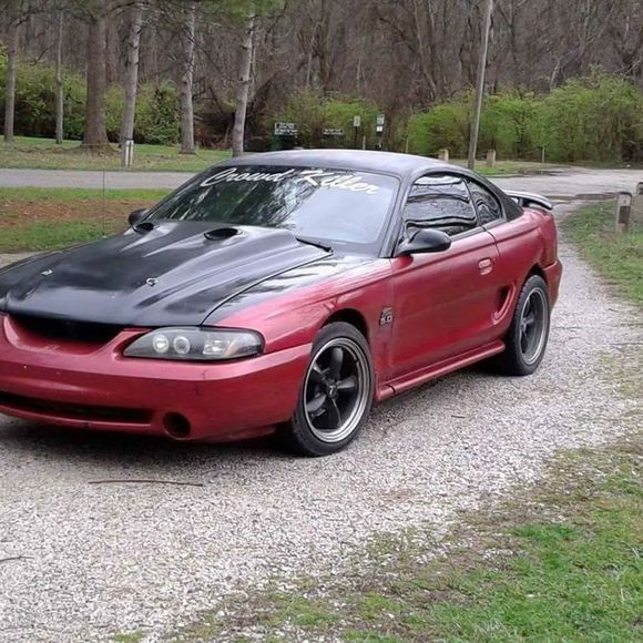 Meet your Posher, Corey - Picture 1 of 1